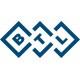 BTL Industries, Inc.